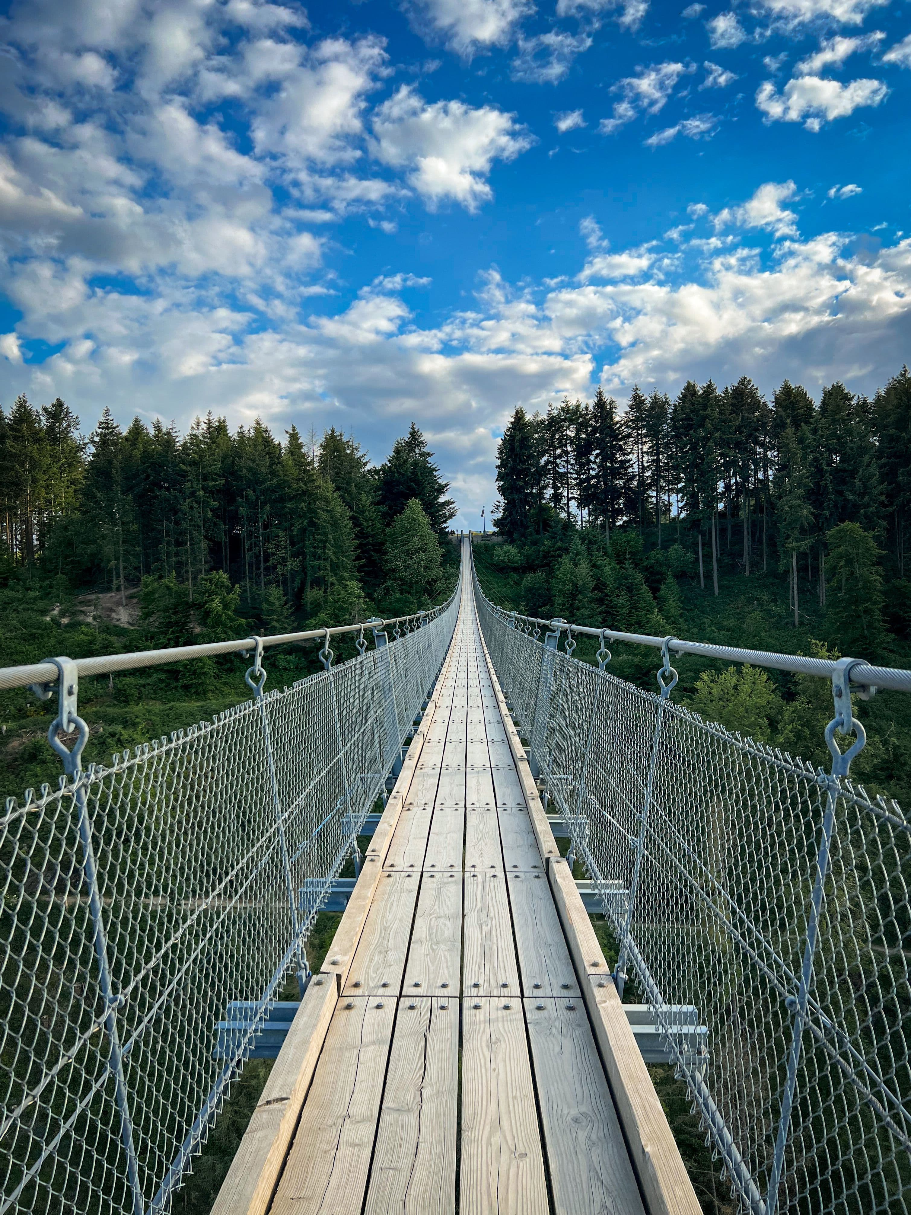 Подвесные мосты и adventure-комплексы